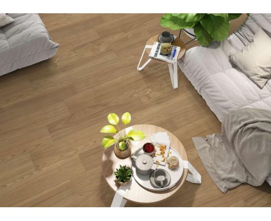 Porcelain tile Halcon Ceramicas NAMUR IO ROBLE 22,5X119,5cm