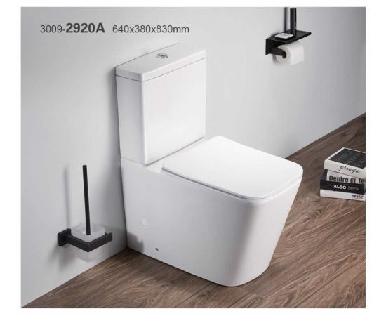 Toilet floor-standing Pate 2920A Rimless two-piece Glossy white P-TRAP