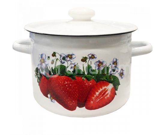 Enameled pot 1612/2 3 l