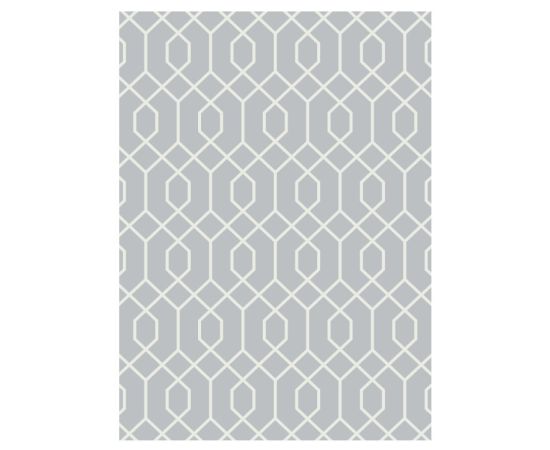 Carpet DCcarpets Ambiance 81203 Silver/White 120x170 cm