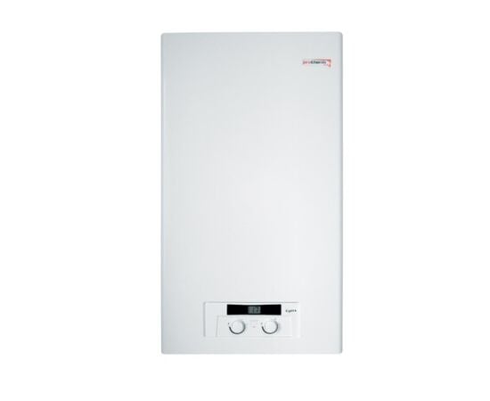 Газовый котел Protherm Lynx HK 24 kWt