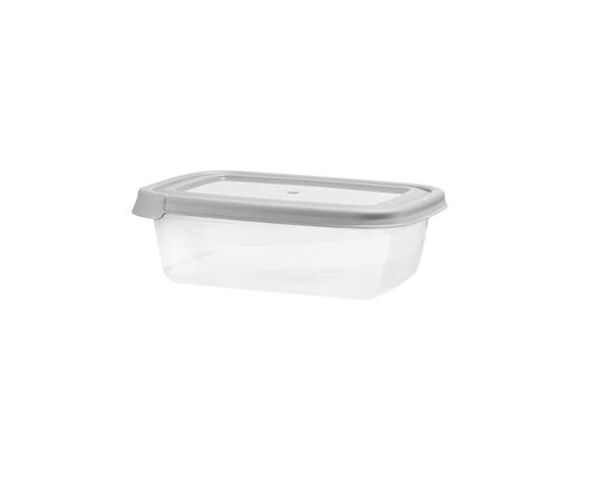 Storage container with lid Domotti ALBERT 43213 600ml gray