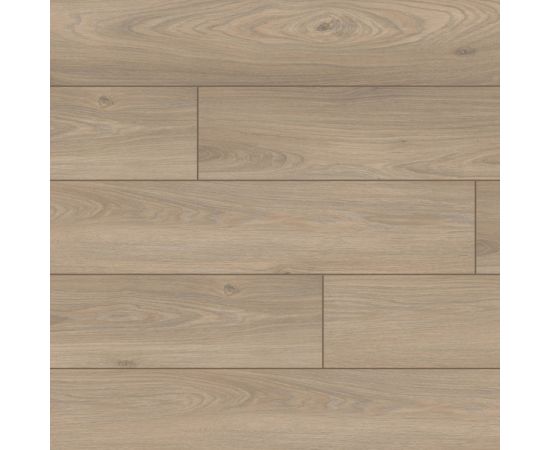 Laminate Classen Pool 52538 4V AC4/32 Oak Light Grey Brown 1286x194x8 mm