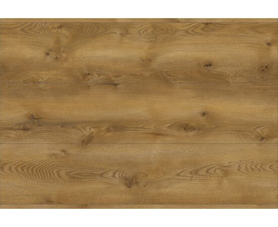 Laminate Classen Evolution 63111 oak Monteverdi 1285x280x8 mm AC5/32