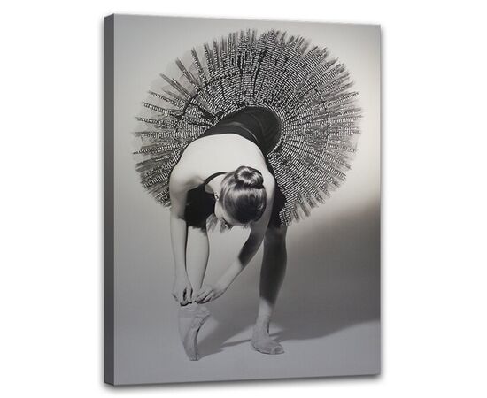 Picture on canvas Styler Balerina ST171 60X80 cm