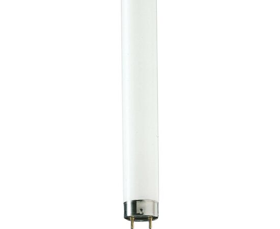 Лампа люминесцентная Philips TL-D 36W/54-765 1SL/25 6200K 36W G13