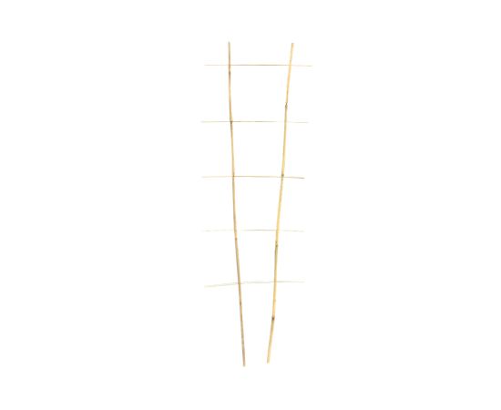 Bamboo decorative 120 cm