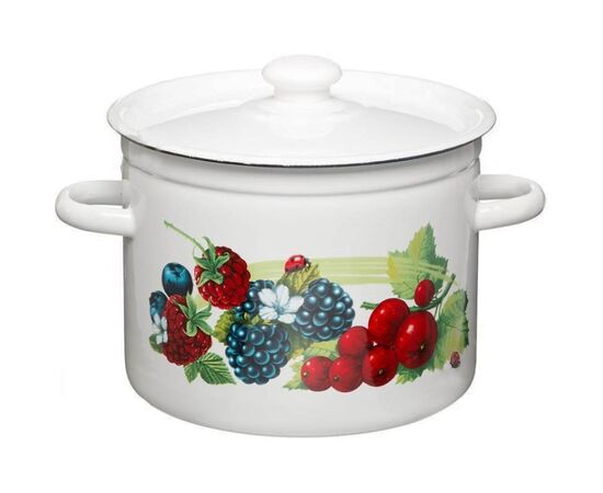 Enameled pot 1617/2 5.5 l