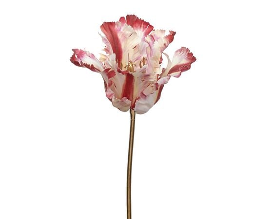 Новогодняя декорация тюльпан PARROT TULIP STEM RD PNK WH 40см