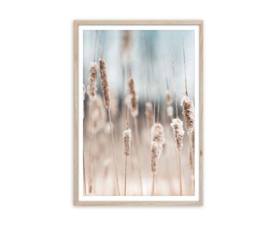 Picture in a frame Styler FP056 GRASS 50X70