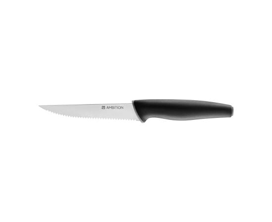 Steak knife Ambition ASPIRO 11,5cm