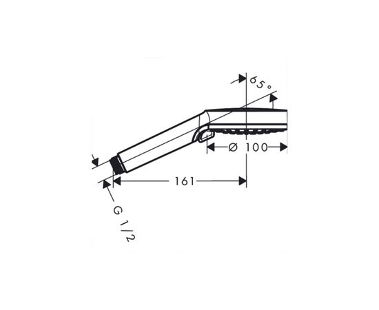 Душевая лейка Hansgrohe 26270670