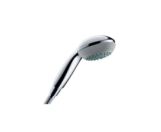 Душевая лейка Hansgrohe 5250023