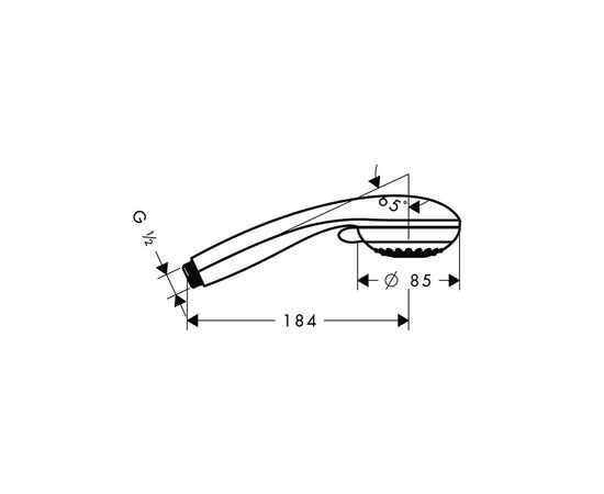 Душевая лейка Hansgrohe 5250023