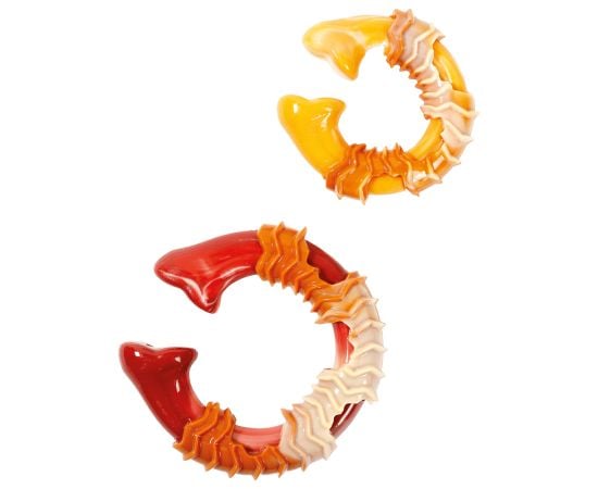 Dog toy ring bone with bacon taste M-Pets CARNIVORE 14x13,7x4,1cm