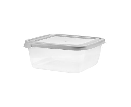 Storage container with lid Domotti ALBERT 43227 1500ml gray