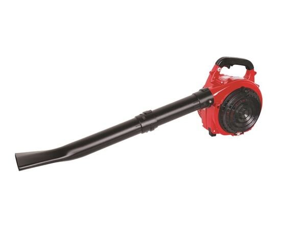 Garden vacuum cleaner gasoline Raider RD-GBV05 750W (077401)