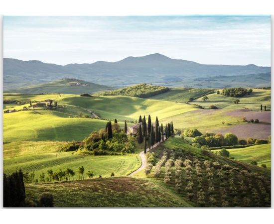 Glass picture Styler Tuscany ST546 80X120 cm