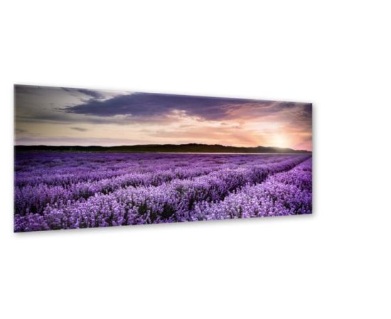 Картина на стекле Styler LAVENDER FIELD EX372 50X125