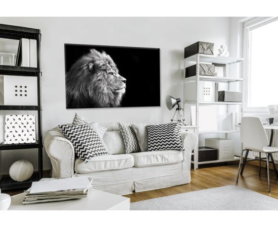 Glass picture Styler Lion GL104 70X100 cm