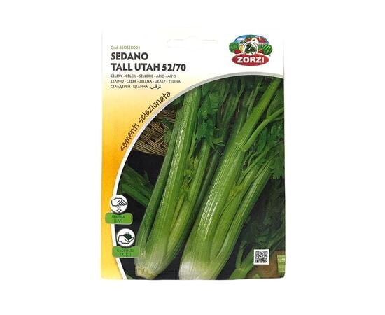 Seeds Celery SEDANO TALL UTAH 52/70 BTS 4 gr