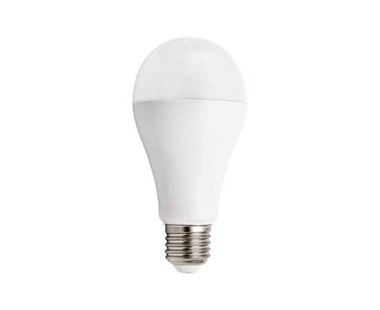 Lamp NEWPORT LED E27 15W 6500K A65