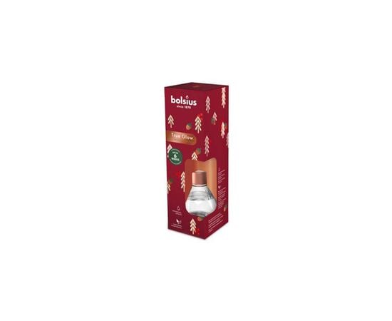 Air freshener Bolsius winter spices 60 ml