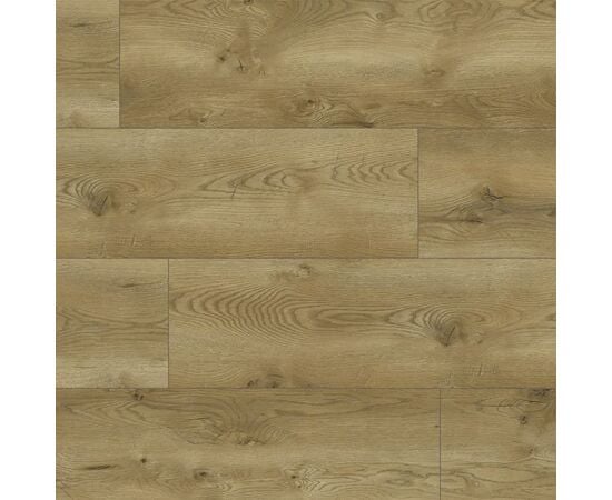 Laminate Classen Evolution 63126 oak Covelo 1285x280x8 mm AC5/32