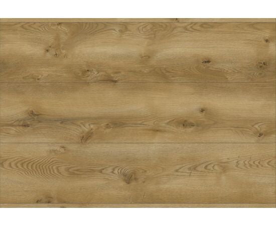 Laminate Classen Evolution 63126 oak Covelo 1285x280x8 mm AC5/32