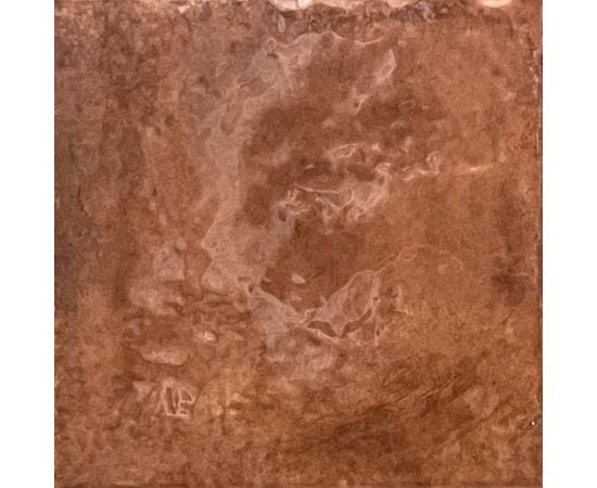 Tile Ege Seramik JUNGLE COTTO 200X200mm