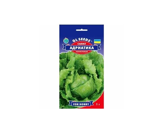 Adriatic lettuce seeds GL Seeds 1g