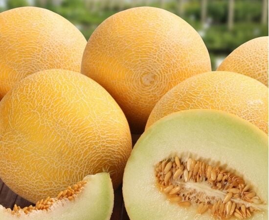 Seeds Melon Smachni Bereginya 1.5 g