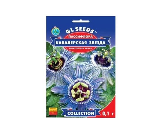 Seeds Passionflower GL Seeds Kavalerska Zvezda 0,1g