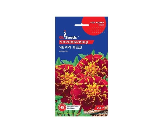 Marigold seeds cherry lady GL Seeds 0.5 g