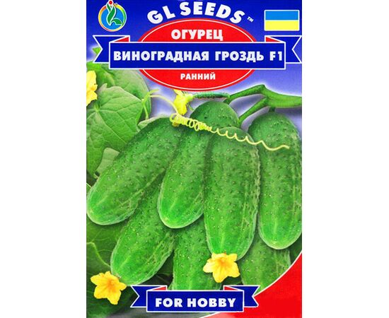 Seeds Cucumber GL SEEDS Bunch of grapes F1 10 pc