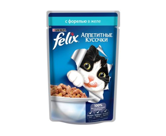 Jelly cat Felix trout meat 75g