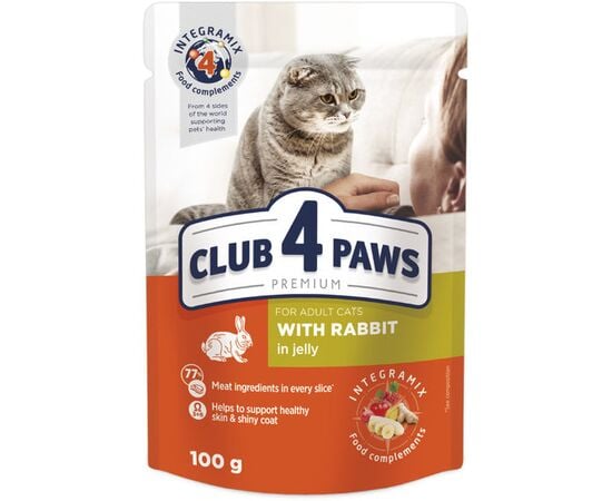 Jelly 4 Paws cat with rabbit meat 0.1 kg