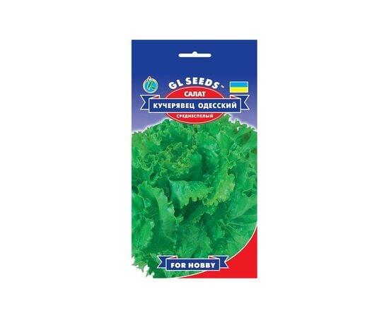 Lettuce seeds GL Seeds 3 g