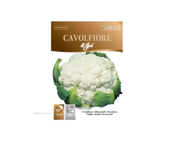 Cauliflower CAVOLFIORE 01 JESI MB 2 g