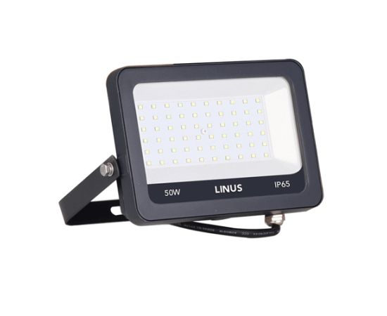 Spotlight LINUS LED 50W 3000K IP65 SZ