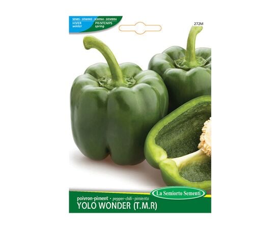 Pepper seeds Pepper YOLO WONDER (T.M.R.) 272-MAXIOr