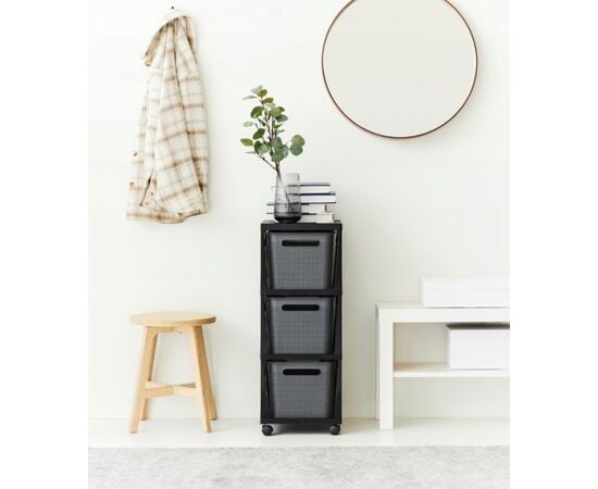 Chest of drawers with rollers Rotho BRISEN 3x16l black