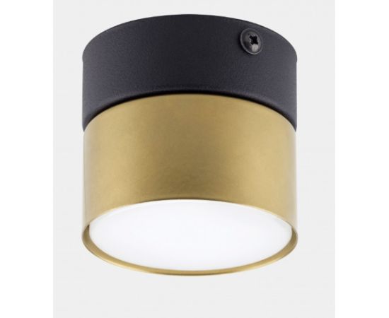 Downlight TK Lighting SPACE black gold 6140 TK-L