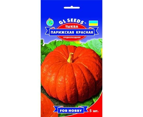 Pumpkin seed GL SEEDS Parisian red 5 pc