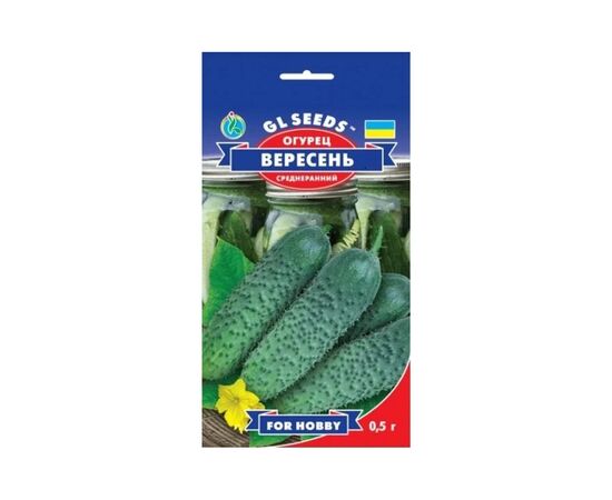 კიტრის თესლი Elitsort Seeds GL Seeds 0.5