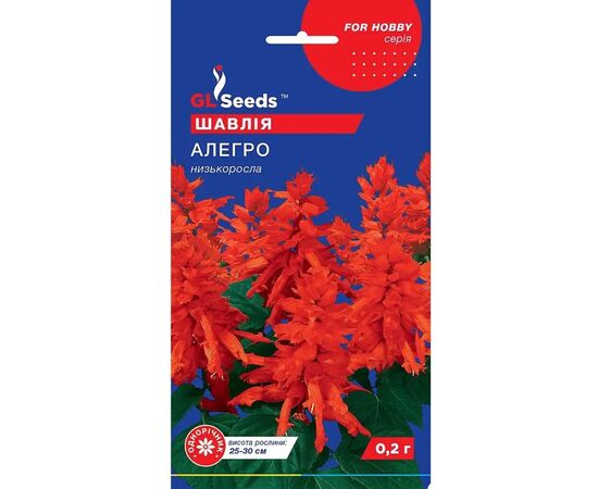 Семена сальвия Elitsort Seeds аллегро 0,1 г