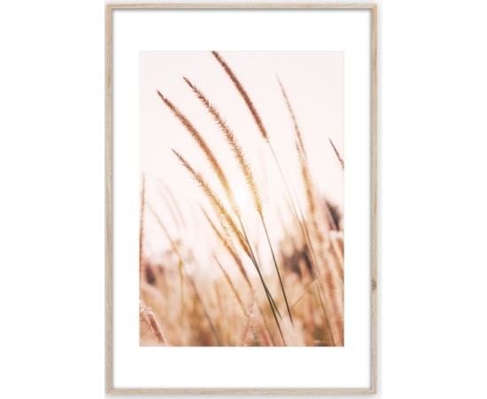 Picture in frame Styler Grasses AB078 50X70 cm