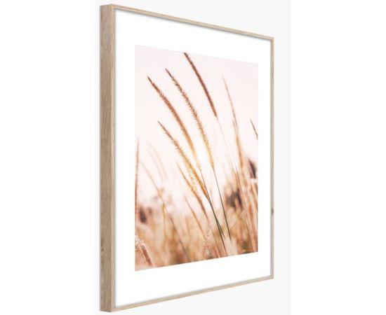 Picture in frame Styler Grasses AB078 50X70 cm