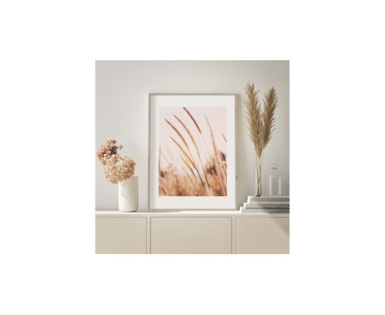 Picture in frame Styler Grasses AB078 50X70 cm