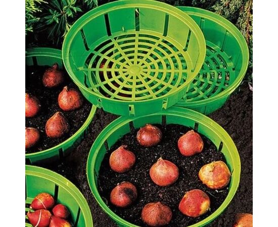 Basket for planting bulbs HBM 22 cm